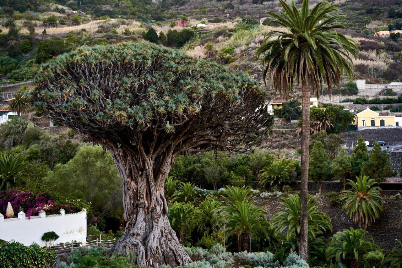 Schöne Ferienwohnung auf Teneriffa Los Silos Exterior foto