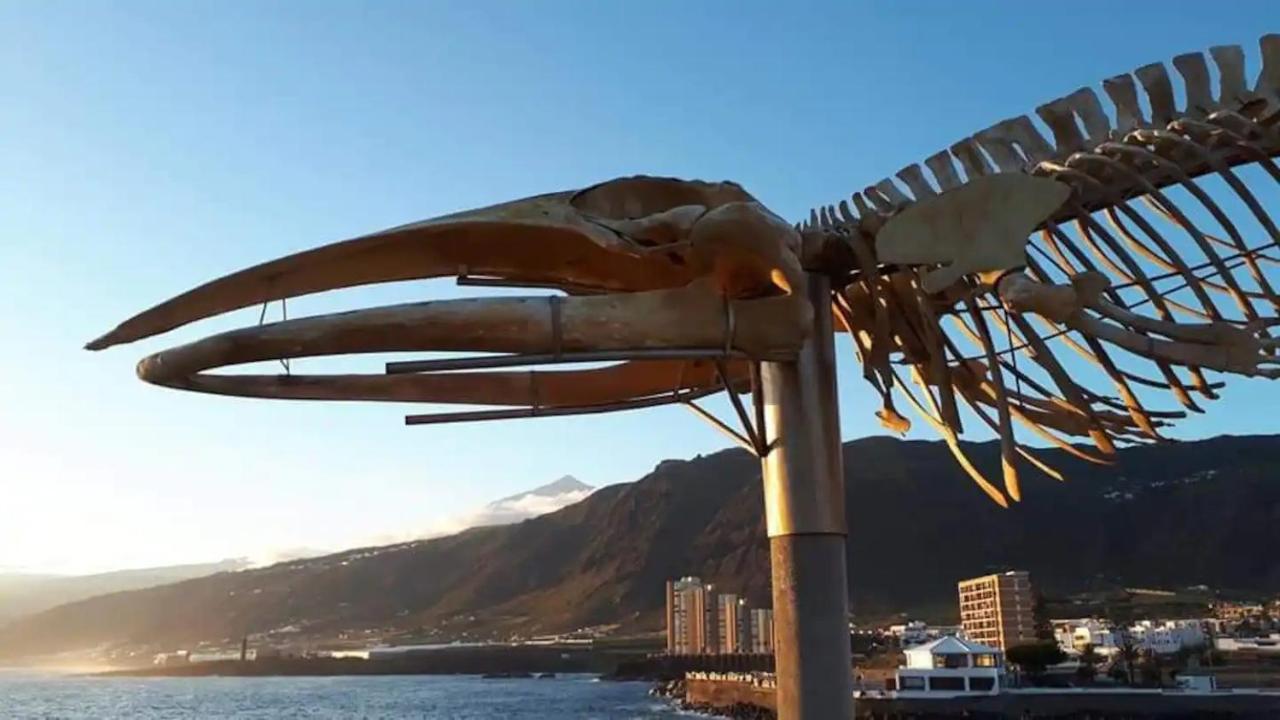 Schöne Ferienwohnung auf Teneriffa Los Silos Exterior foto